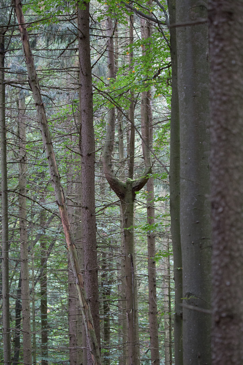 20231014100727 3K6A2246